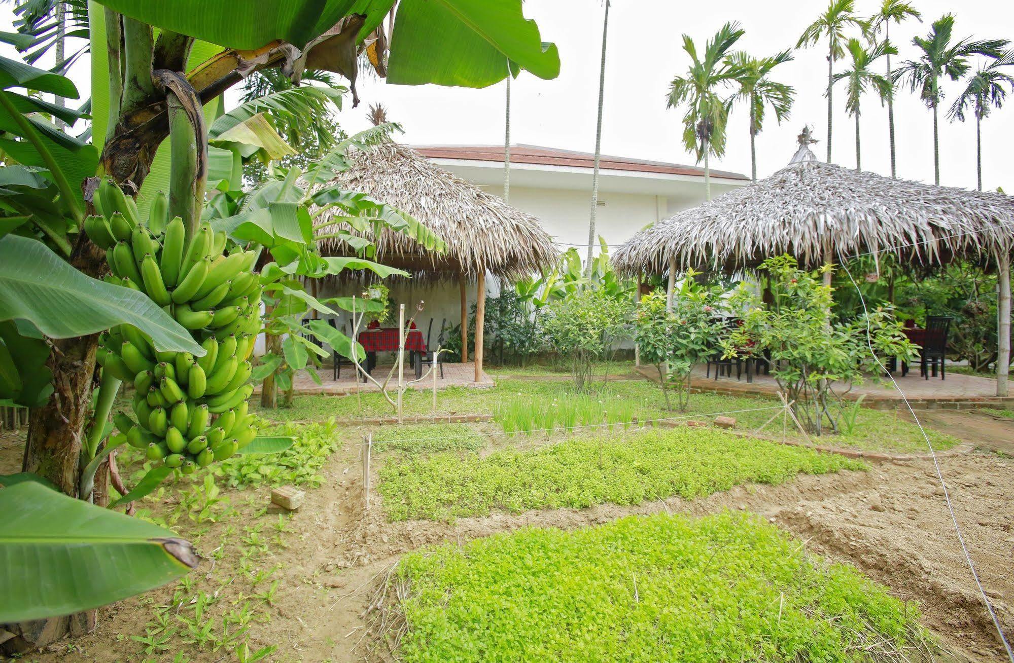 Hoi An Red Frangipani Villa Eksteriør bilde